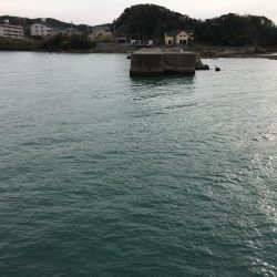 アジサビキの地合いは午後5~6時