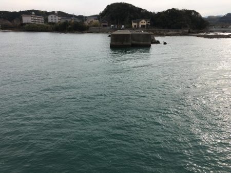 アジサビキの地合いは午後5~6時