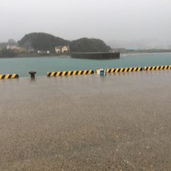 雨中のサビキ釣り