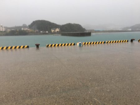 雨中のサビキ釣り