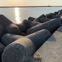 ２月なのにポカポカ釣行