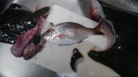 調子がいいっ！