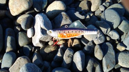 今年3回目にしてやっとボウズ逃れ!