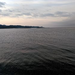 アオリイカ2杯ゲットです!!