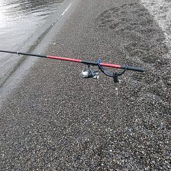 サーフでも　アオリイカゲットできます!!