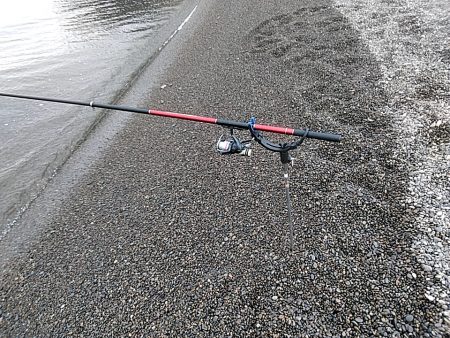 サーフでも　アオリイカゲットできます!!