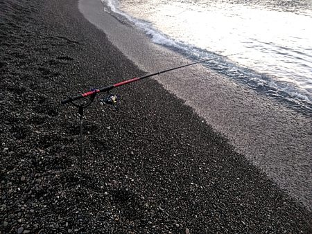 アオリイカ１杯上がりました！！