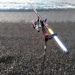 アオリイカ2杯あがりました!!