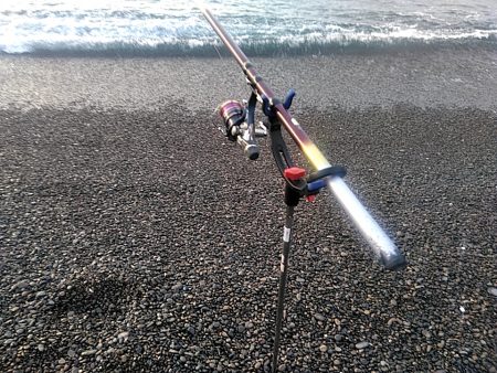 アオリイカ2杯あがりました!!