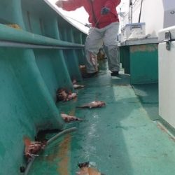 第二むつ漁丸 釣果