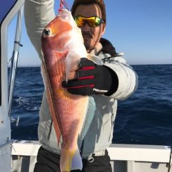 へいみつ丸 釣果