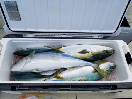 遊漁船　ニライカナイ 釣果