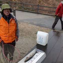 フィッシングレイクたかみや 釣果