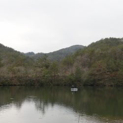 フィッシングレイクたかみや 釣果