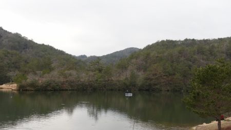フィッシングレイクたかみや 釣果