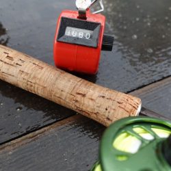 フィッシングレイクたかみや 釣果