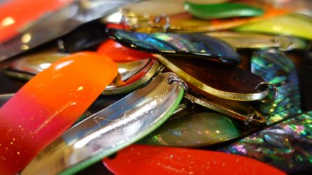 フィッシングレイクたかみや 釣果