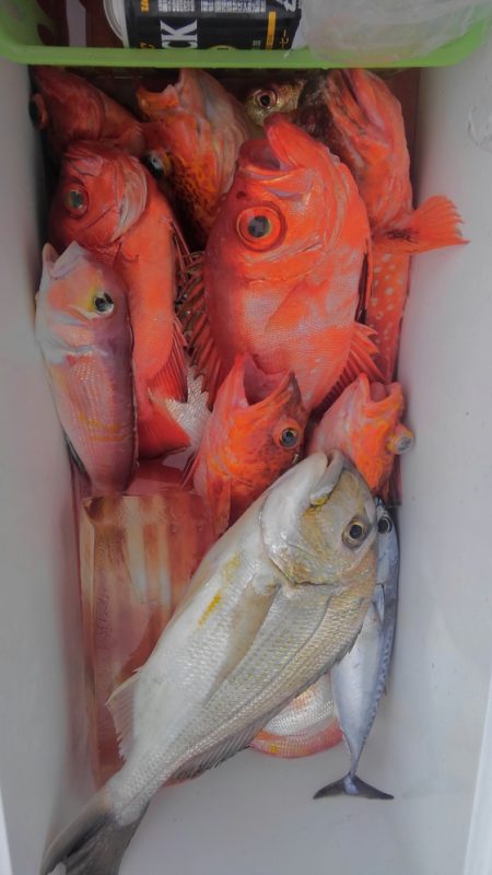 遊漁船 新鋭丸 釣果