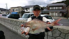 まこと渡船 釣果