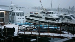 まこと渡船 釣果