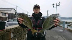 まこと渡船 釣果