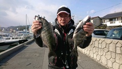 まこと渡船 釣果