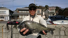 まこと渡船 釣果