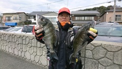 まこと渡船 釣果