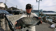 まこと渡船 釣果