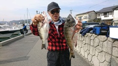 まこと渡船 釣果