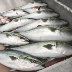 寿裕 (YOSHIHIRO) 釣果