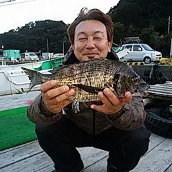 勝丸渡船 釣果