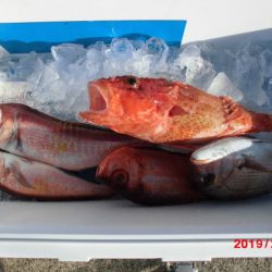 大進丸(新潟) 釣果