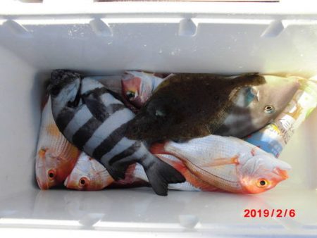 大進丸(新潟) 釣果