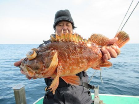 真祐丸 (しんゆうまる) 釣果