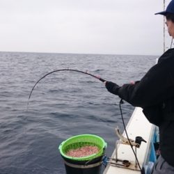 海晴丸 釣果