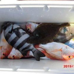 大進丸(新潟) 釣果