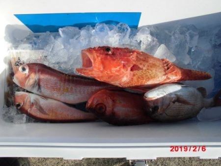 大進丸(新潟) 釣果