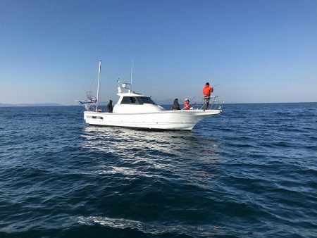 フィッシングボートACE(エース) 釣果