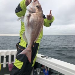 フィッシングボートACE(エース) 釣果