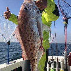 フィッシングボートACE(エース) 釣果