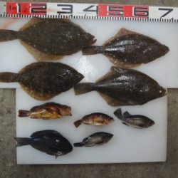 のとじま臨海公園海づりセンター 釣果