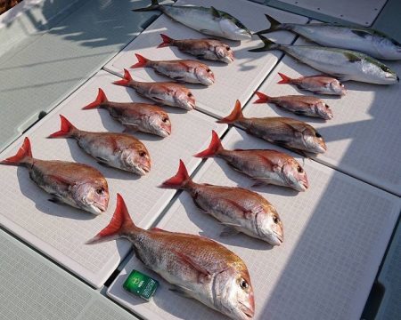 フィッシングボートACE（エース） 釣果