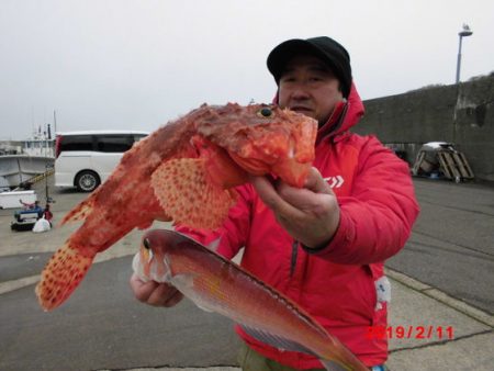 大進丸（新潟） 釣果