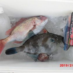 大進丸(新潟) 釣果