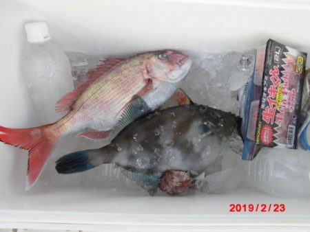 大進丸(新潟) 釣果