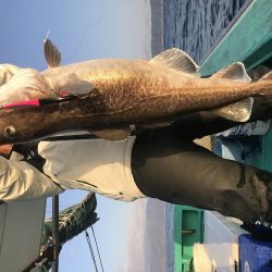 広進丸 釣果