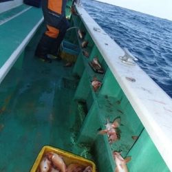 第二むつ漁丸 釣果