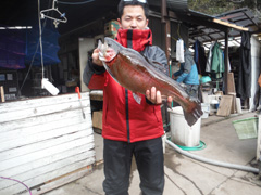 すそのフィッシングパーク 釣果