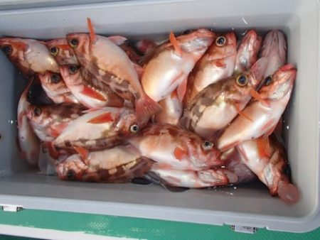 第二むつ漁丸 釣果